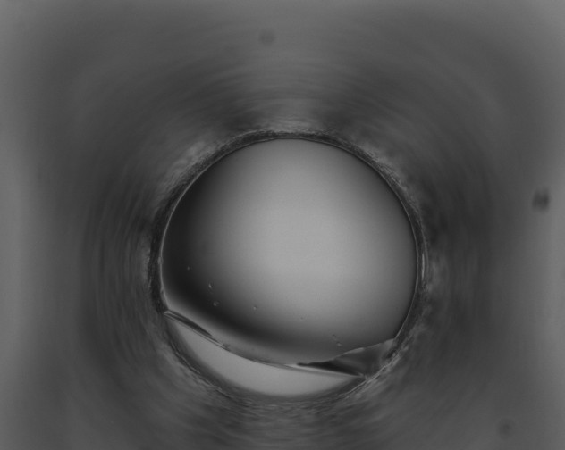 X0000093500201200710191256