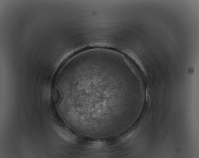 X0000093500204200710191255