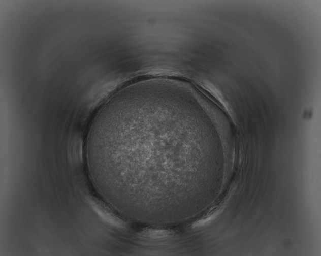 X0000093500205200710191255