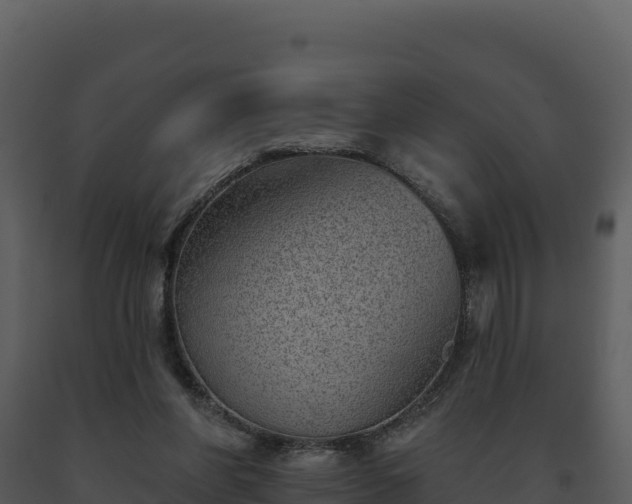 X0000093500206200710191255