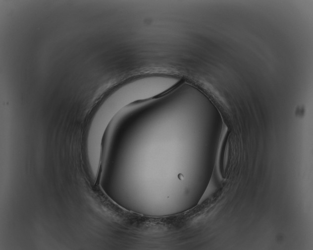 X0000093500207200710191255
