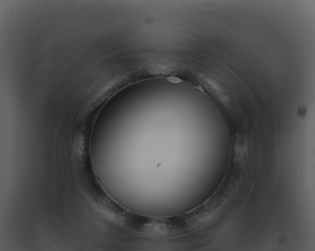 X0000093500211200710191255