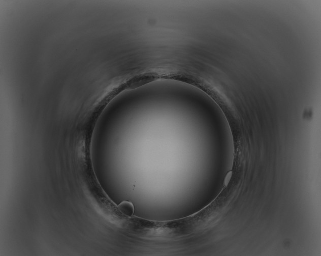 X0000093500212200710191255