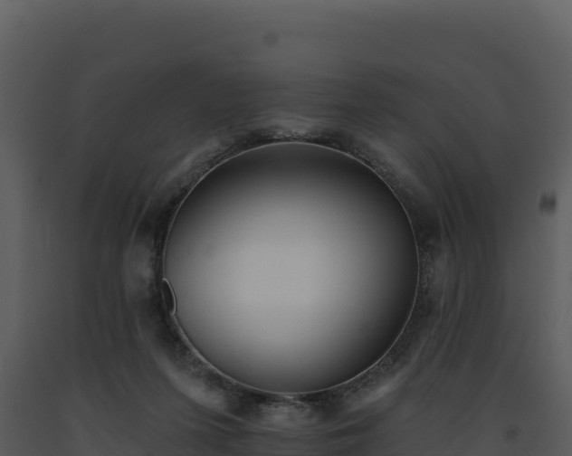 X0000093500215200710191255