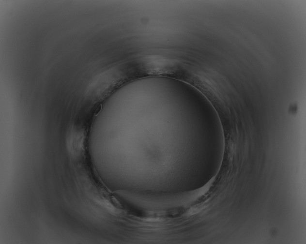 X0000093500219200710191255