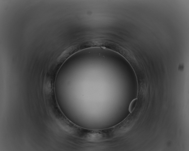 X0000093500220200710191255