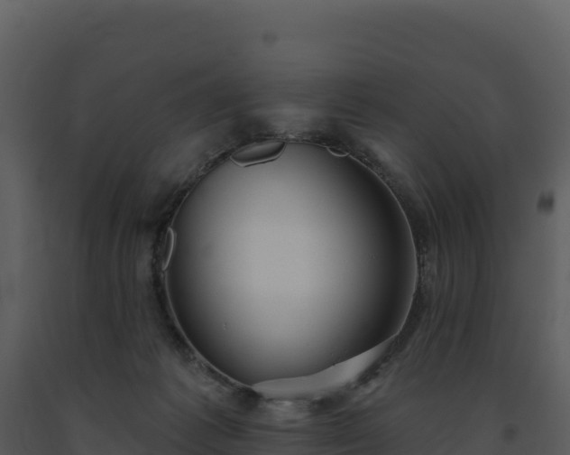 X0000093500221200710191255