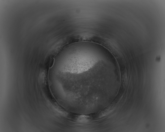 X0000093500222200710191255