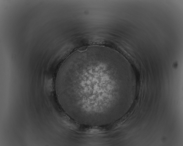 X0000093500224200710191255