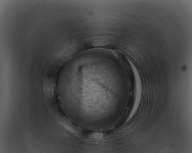 X0000093500227200710191255