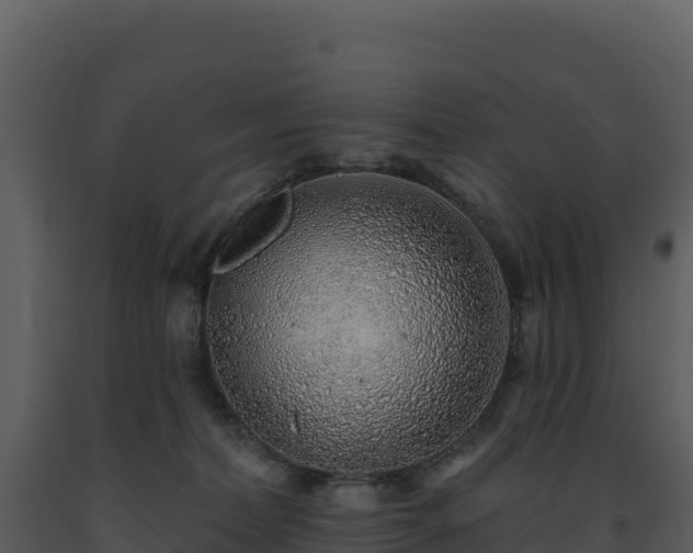 X0000093500228200710191255