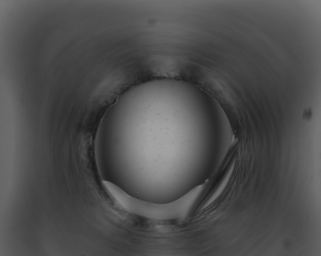X0000093500229200710191255
