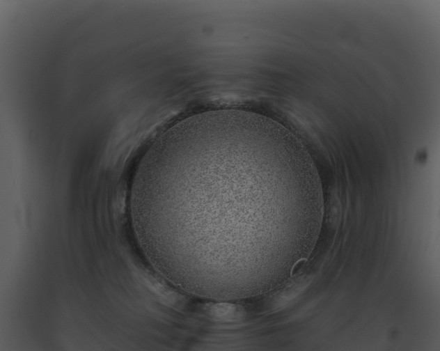 X0000093500230200710191255