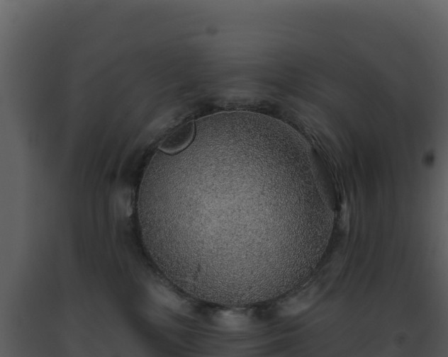 X0000093500232200710191255