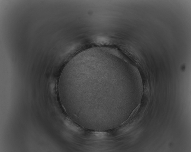 X0000093500233200710191255