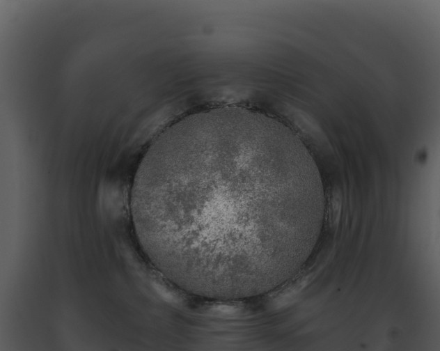 X0000093500236200710191255