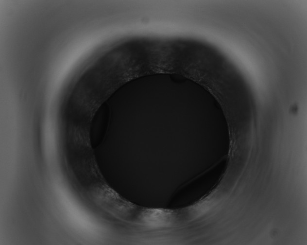 X0000093500239200710191255