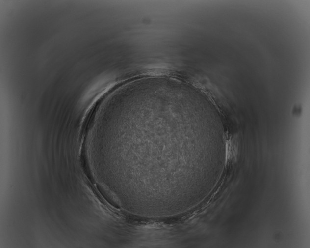 X0000093500243200710191254