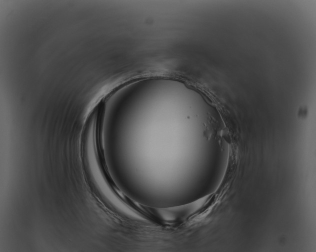 X0000093500244200710191254
