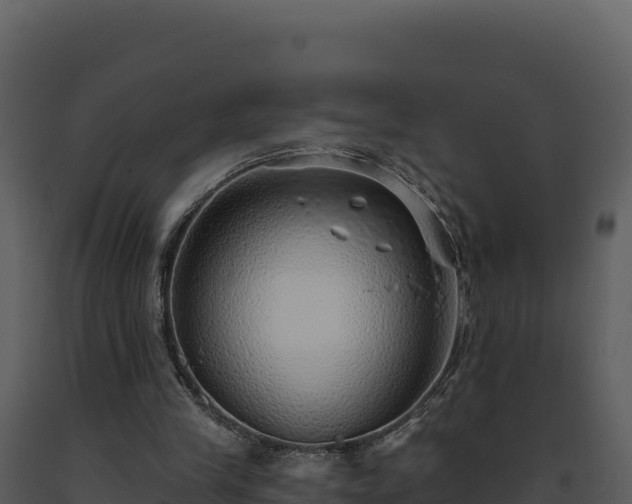 X0000093500245200710191255
