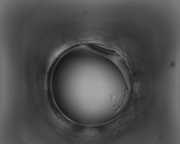 X0000093500248200710191255