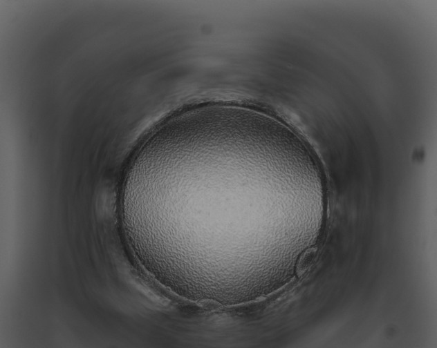 X0000093500249200710191255