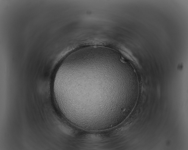X0000093500250200710191255