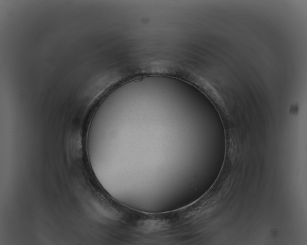 X0000093500251200710191255