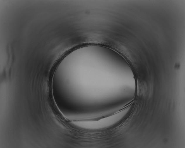 X0000093500252200710191255