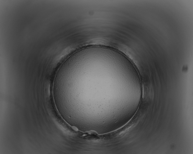 X0000093500253200710191255