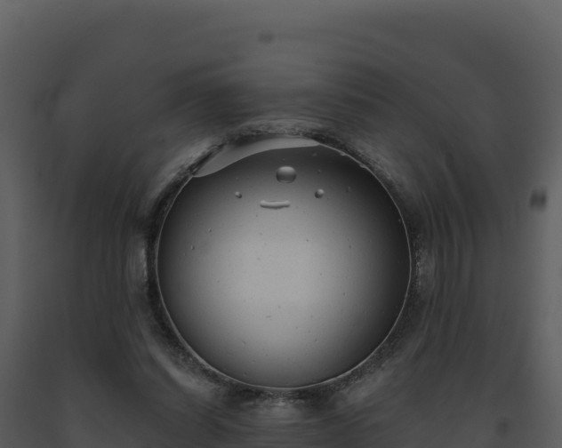 X0000093500254200710191255