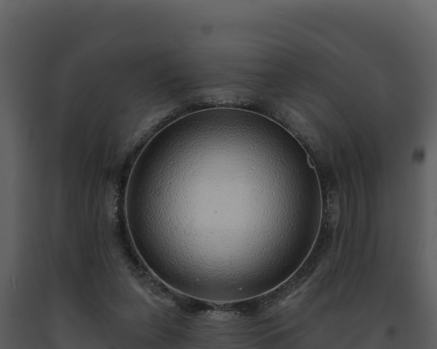 X0000093500255200710191255