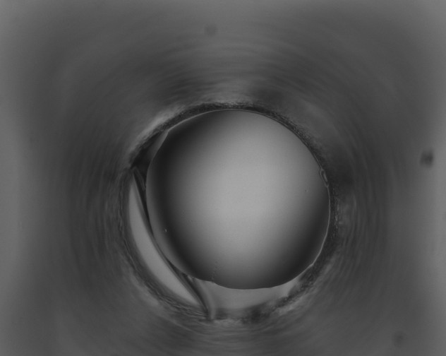 X0000093500256200710191255