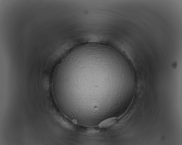 X0000093500257200710191255
