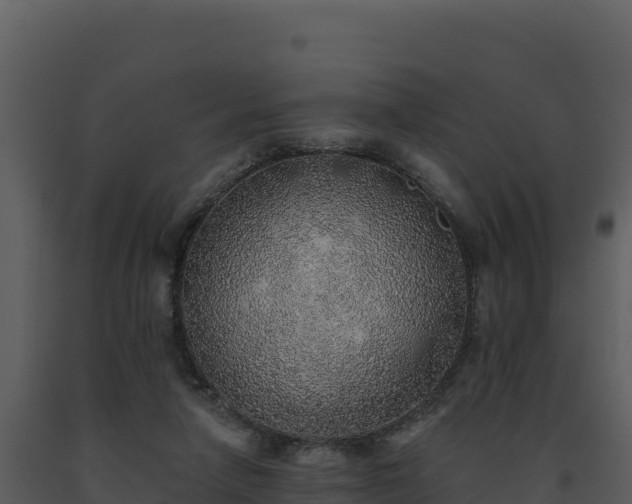 X0000093500258200710191255