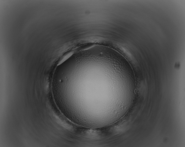 X0000093500261200710191255