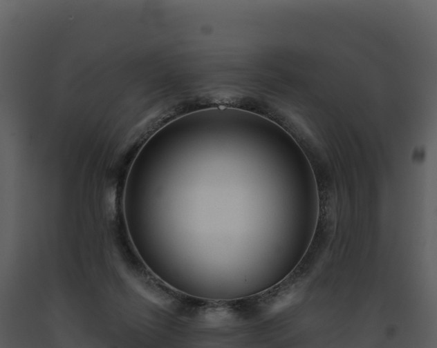 X0000093500262200710191255