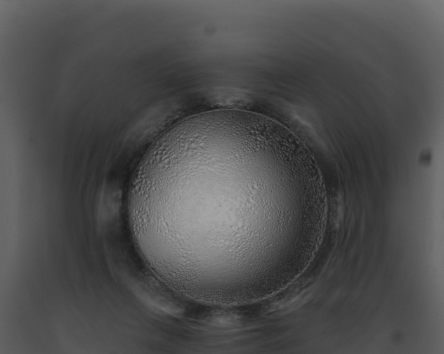 X0000093500263200710191255