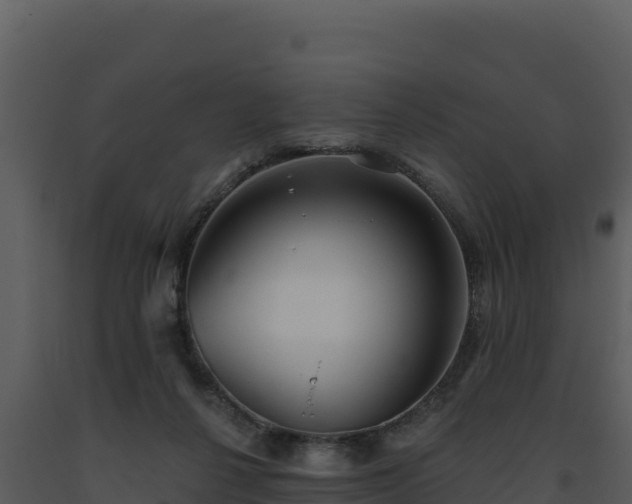 X0000093500264200710191255