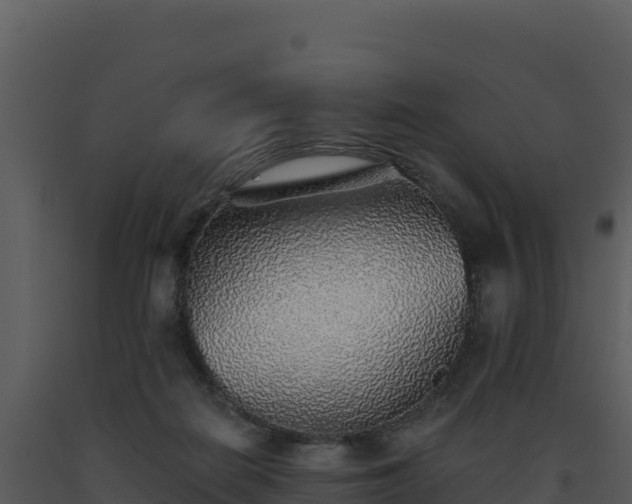 X0000093500266200710191255
