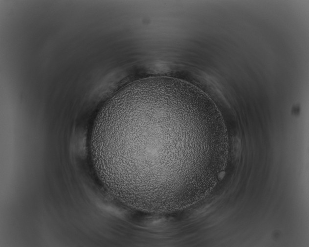 X0000093500267200710191255