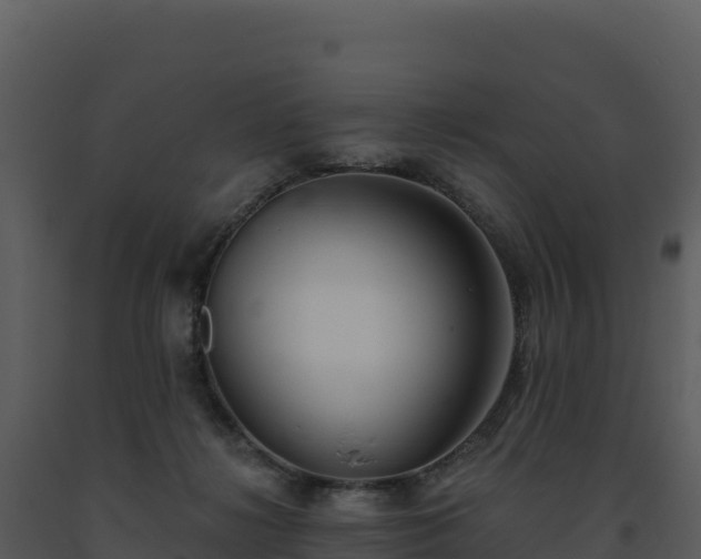 X0000093500268200710191255