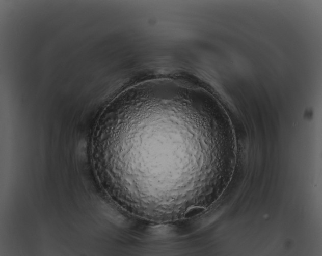 X0000093500269200710191255