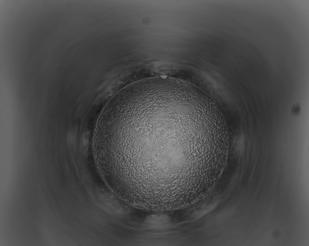 X0000093500271200710191255