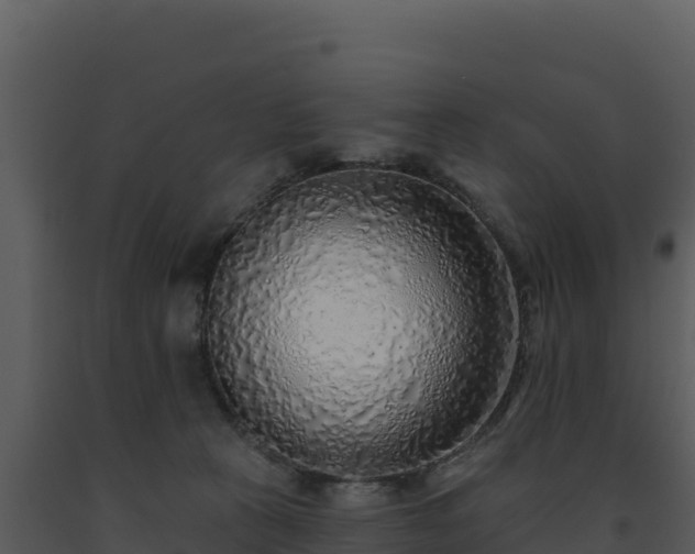 X0000093500273200710191255