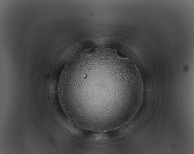 X0000093500275200710191255