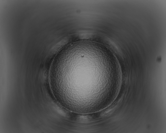X0000093500277200710191255