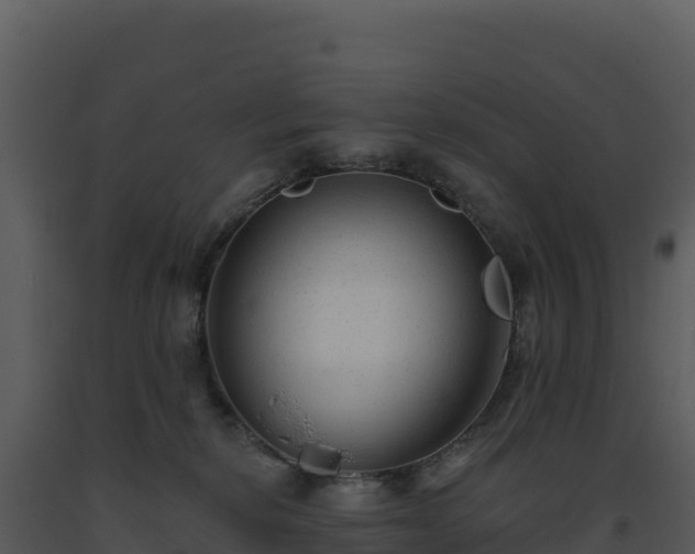 X0000093500278200710191255