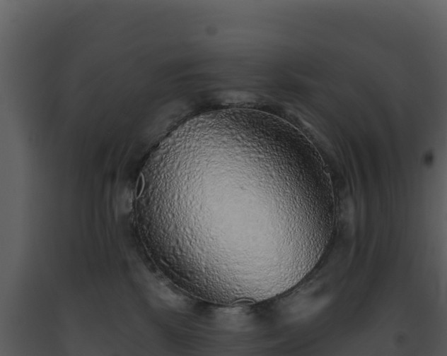 X0000093500281200710191255