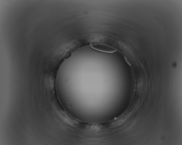 X0000093500282200710191255